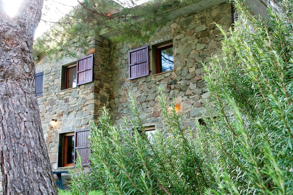 Due Pini Apartment Corniglia Ngoại thất bức ảnh