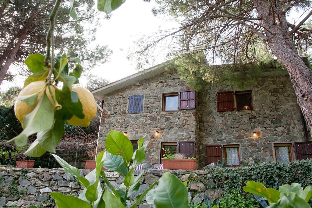Due Pini Apartment Corniglia Ngoại thất bức ảnh