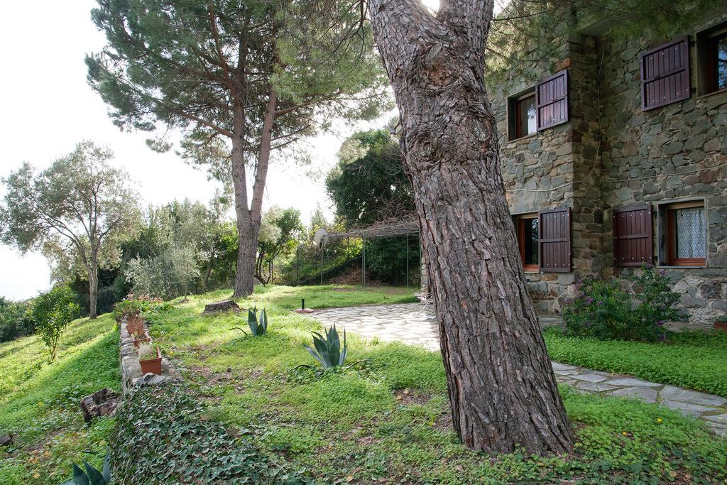Due Pini Apartment Corniglia Ngoại thất bức ảnh
