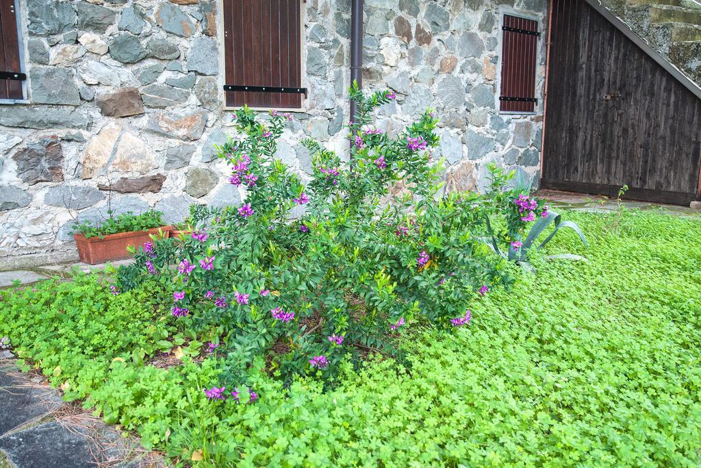 Due Pini Apartment Corniglia Ngoại thất bức ảnh
