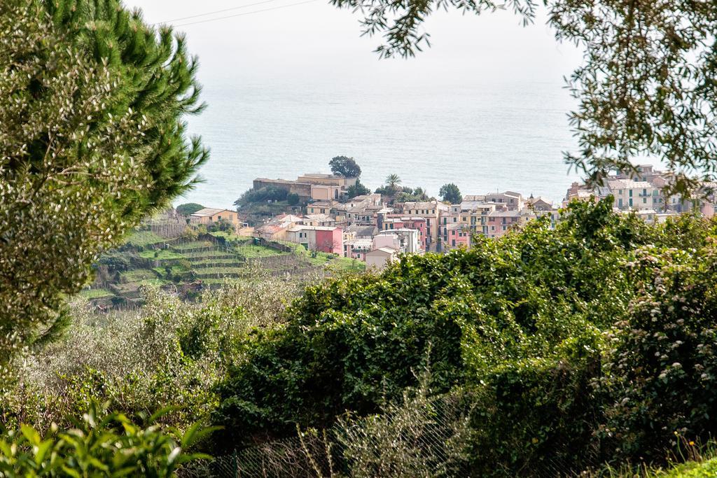 Due Pini Apartment Corniglia Ngoại thất bức ảnh