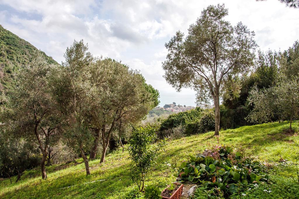 Due Pini Apartment Corniglia Ngoại thất bức ảnh